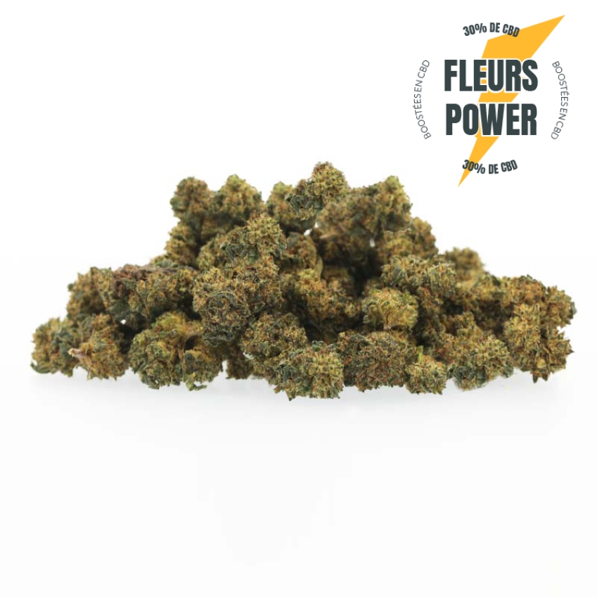 Power Jamaican Dream - Fleurs CBD Small Bud